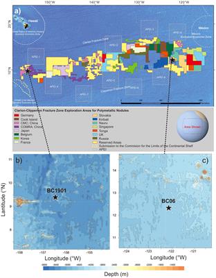 In-situ analysis of polymetallic nodules from the clarion-Clipperton zone, Pacific Ocean: implication for controlling on chemical composition variability